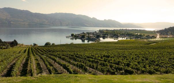 Okanagan Valley Kelowna Wineries