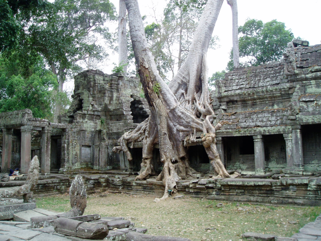 overgrown-buildings-angkor-complex-siem-reap