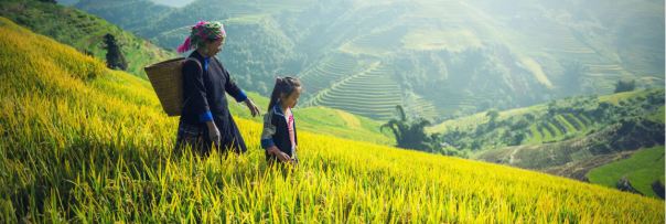 VN Family Web Image 2